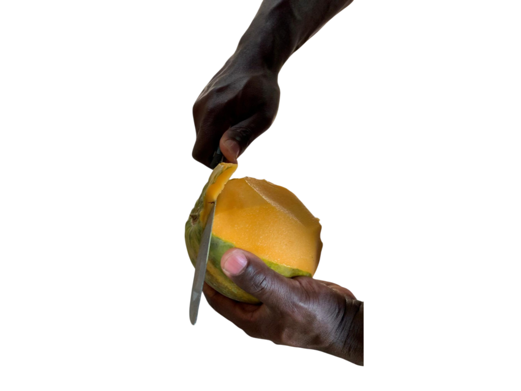 Papaya of Centre des Hommes Project Ecovillage land