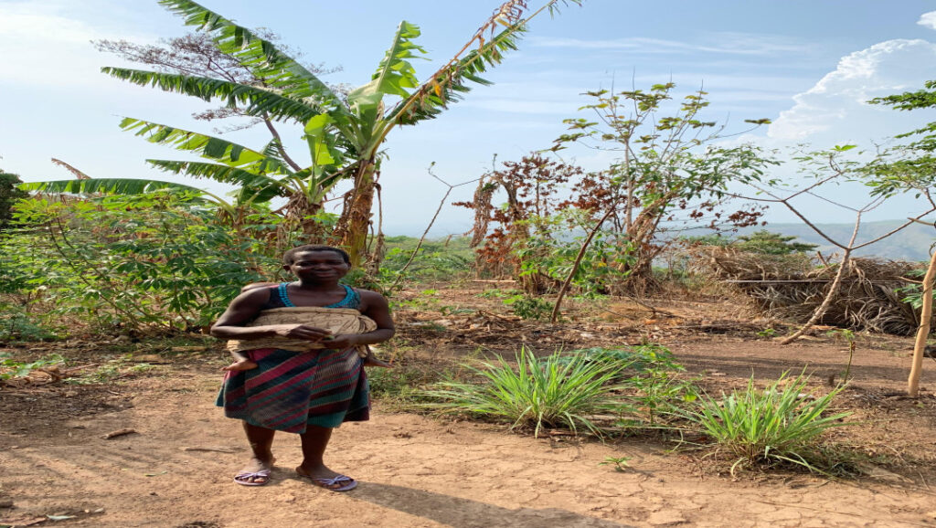 Togo kuivhooaja maastik: kõik on roheline