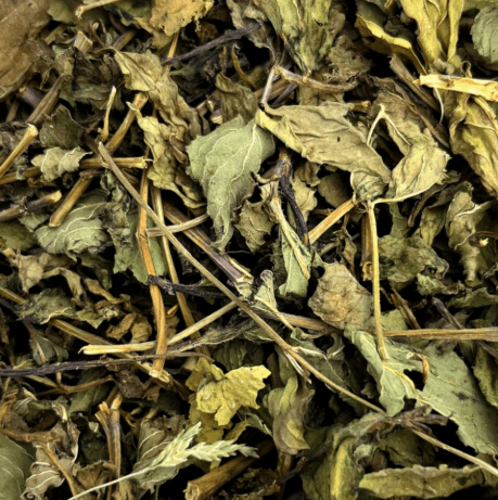 African Dried Peppermint Leaves