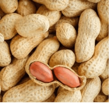 Groundnuts from Togo