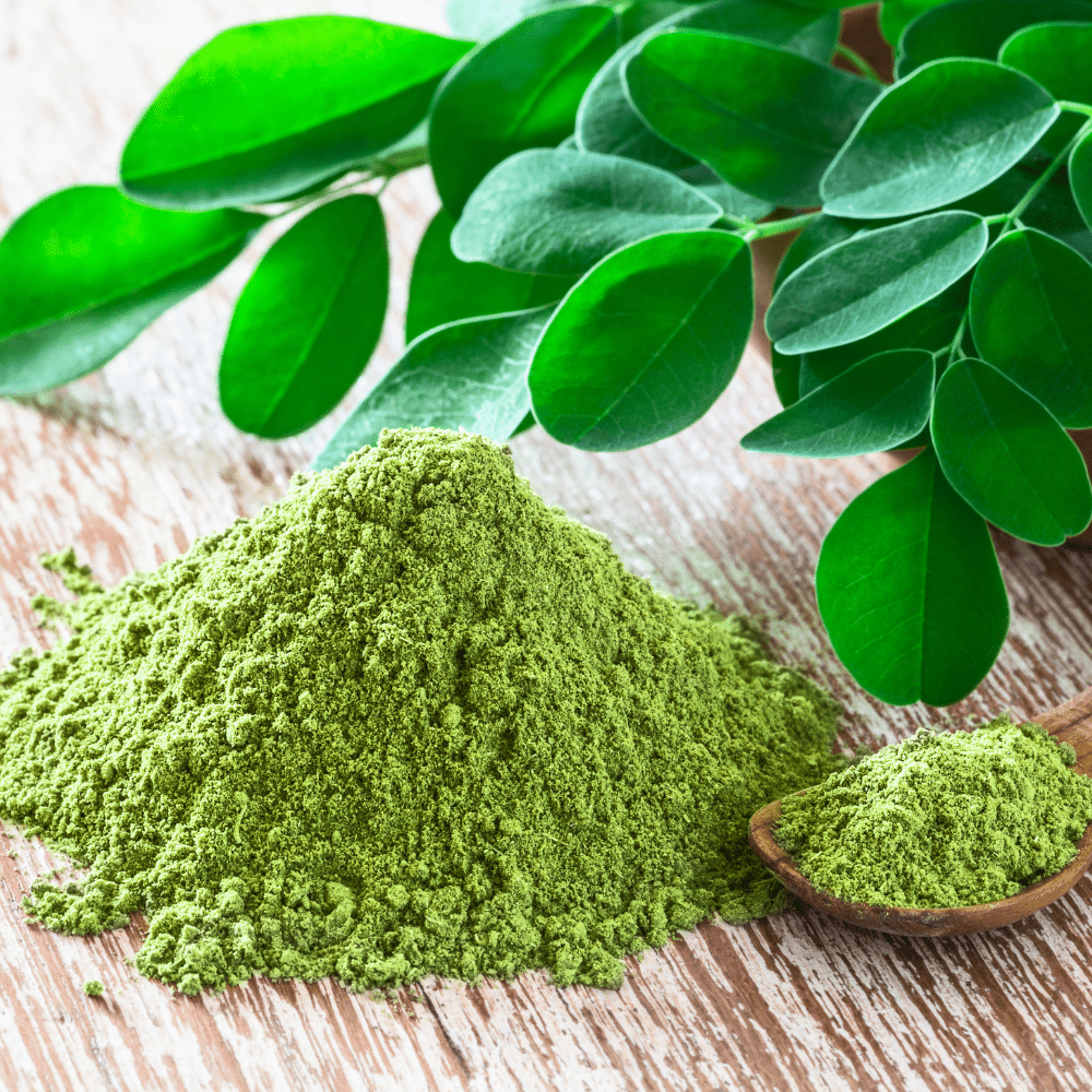 Moringa Powder – TogoSunny