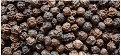 African Black Pepper – Tropical Grains from Togo
