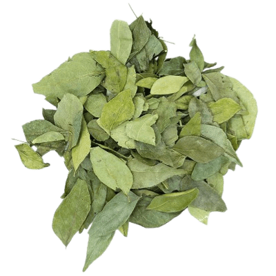 Soursop Dried Leaves