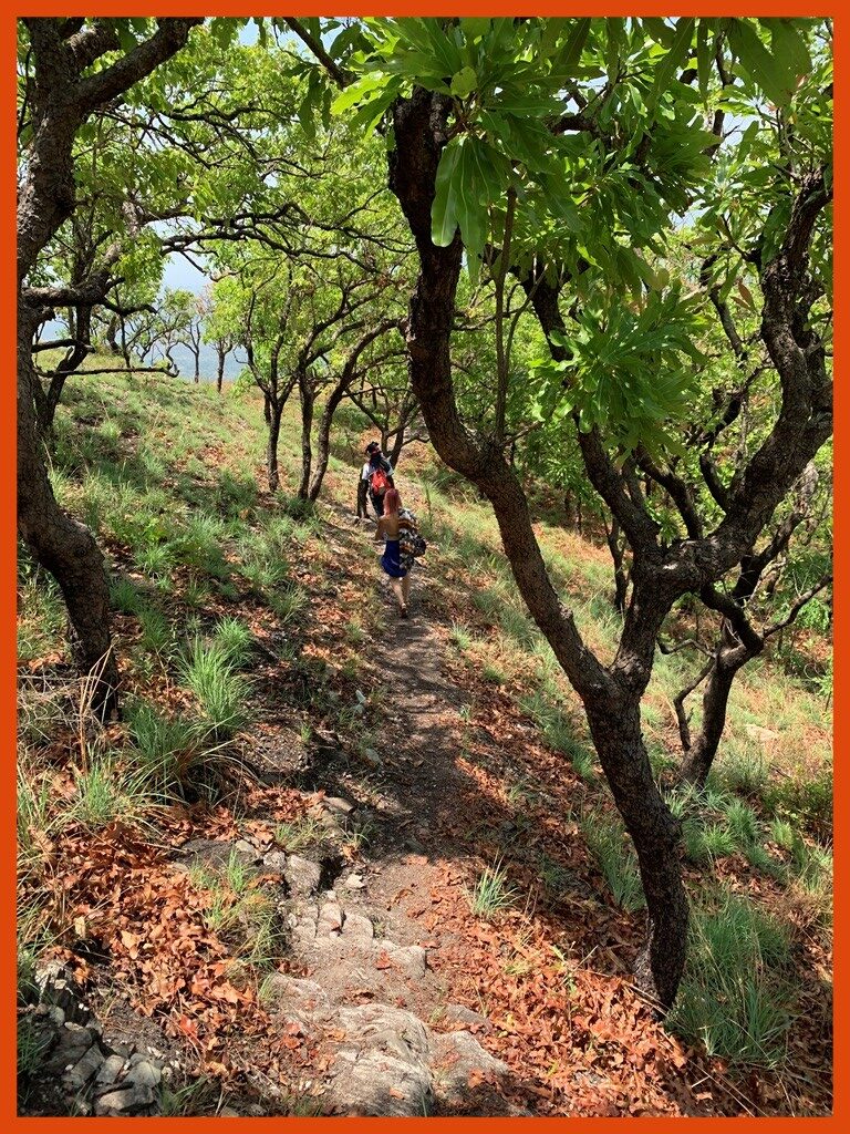 Hiking on the Kloto plateau mountain, visit Togo