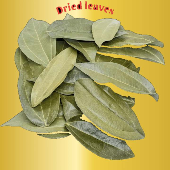 Dried Cinnamon Leaves